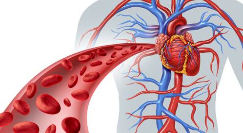 الاسعافات الاولية لمصاب النوبات القلبية