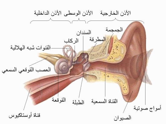 إلتهاب الأذن الوسطى.. الأسباب والمضاعفات