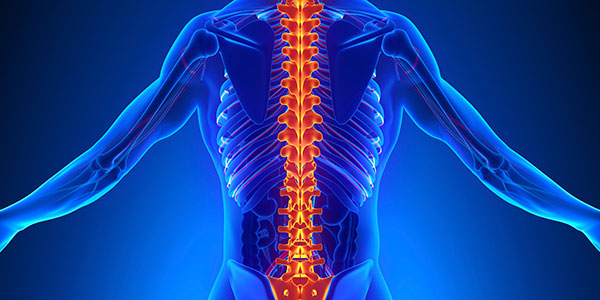 الصلب المشقوق