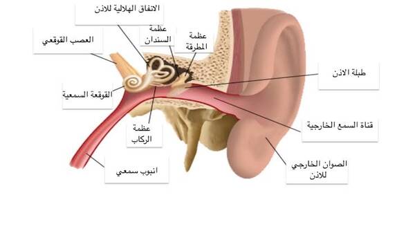 ما هو داء مينيير؟